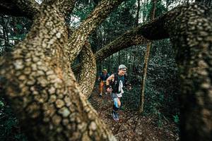 BIB: 
                            <button type="button" onclick="openModal(25393286)" class="btn btn-primary btn-sm float-right btn-popup" data-toggle="modal" data-target=".modal-high-quality">
                        <i class="fas fa-shopping-cart"></i> Add to Cart
                    </button>
                                            <button type="button" onclick="isThisMe(25393286, true)" class="btn btn-success btn-sm float-right btn-popup btn-isme hidden" data-toggle="tooltip" data-placement="bottom" title="นี่คือรูปของคุณใช่ไหม คลิกที่นี่เพื่อเอาเข้าอัลบั้ม">
                        <i class="fas fa-plus"></i> Add to album
                    </button>
                    <button type="button" onclick="isThisMe(25393286, false)" class="btn btn-warning btn-sm float-right btn-popup btn-isnotme hidden">
                        <i class="fas fa-ban"></i> Remove from album
                    </button>